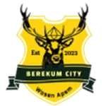 Berekum City
