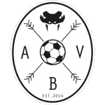 Aarhus Black Vipers