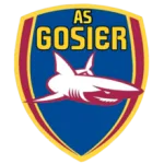 Gosier